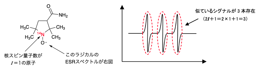 解説画像